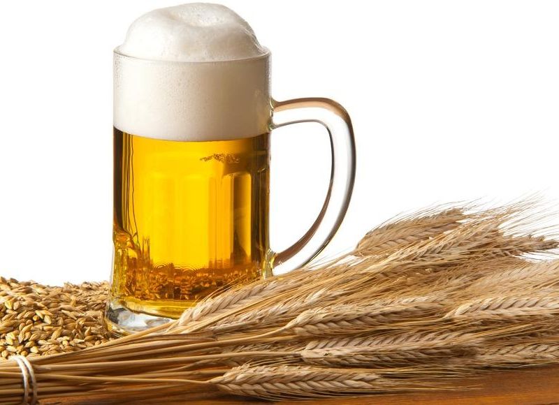 ein Glas Bier, dekoriert mit Getreide