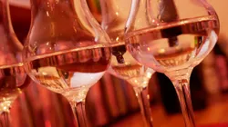 Mehrere Gin-Flaschen stehen aufgereiht auf einer Bar
