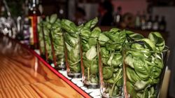 Vorbereitete Cocktails auf der Bar im Profi-Cocktail-Workshop