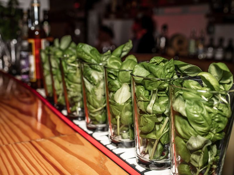 Vorbereitete Cocktails auf der Bar im Profi-Cocktail-Workshop